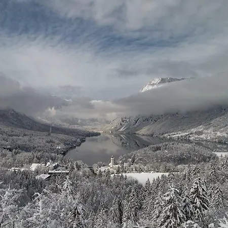Stanovanje